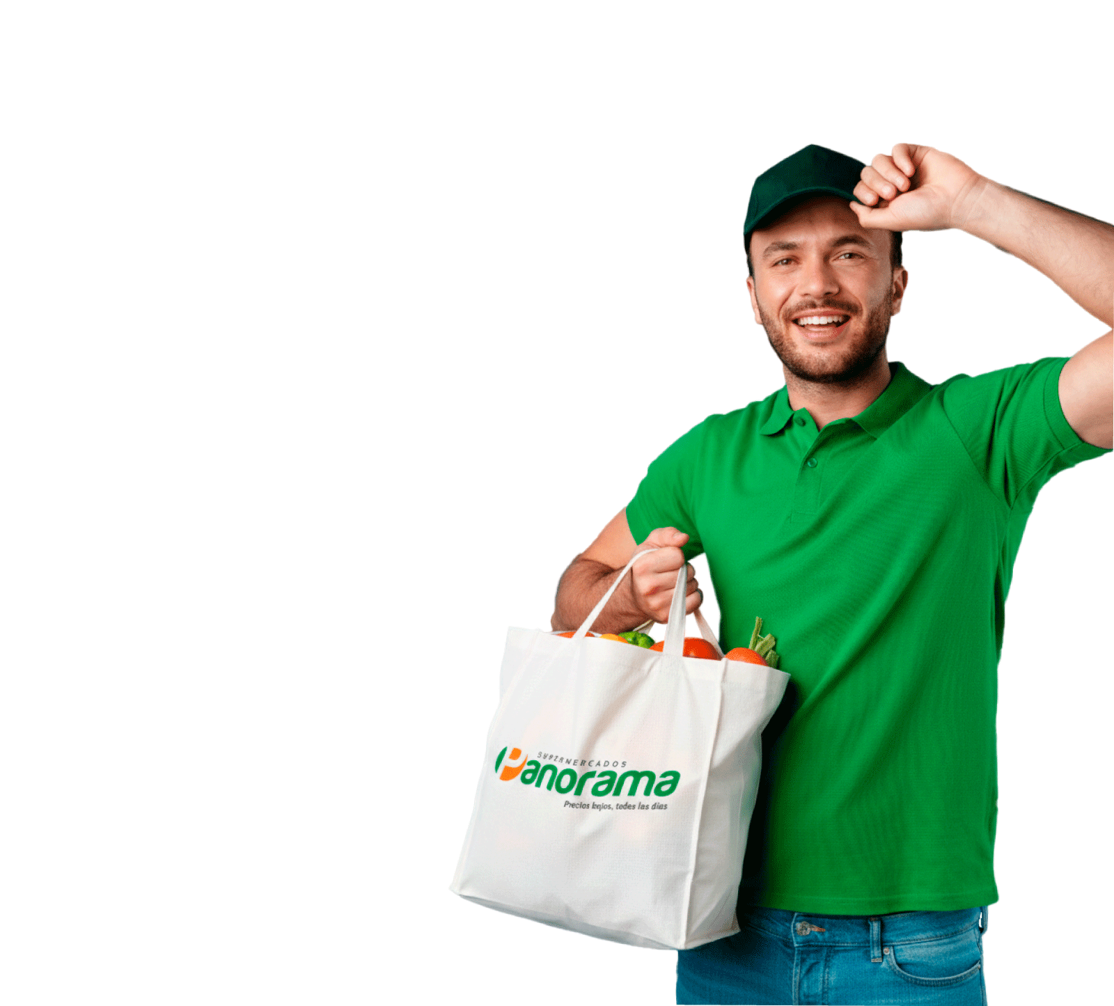 Domiciliario Panorama